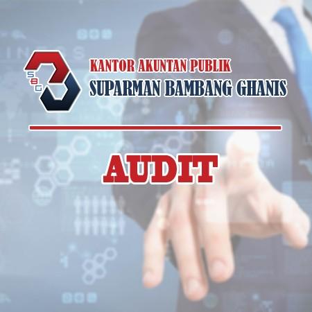 AUDIT